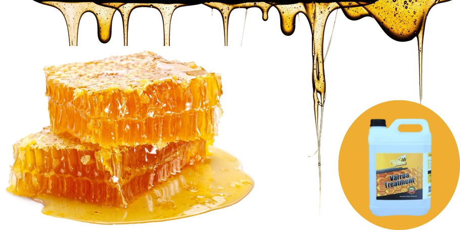 Čebelarstvo: Opozorilo o padcu proizvodnje medu!