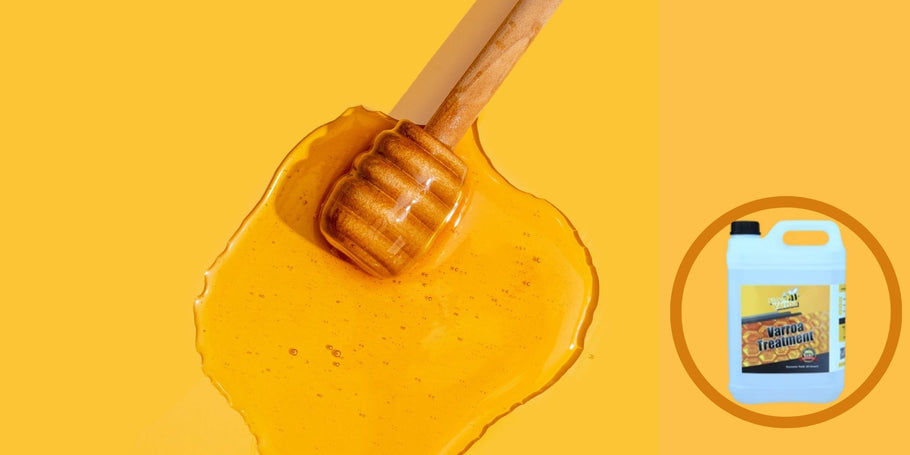 Skrivnost izginulega medu: diagnosticiranje proizvodnih težav z vašim medom
