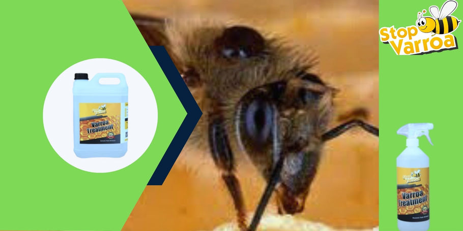 Revolucija proti varoji: rešitev, ki bo rešila vaše čebele
