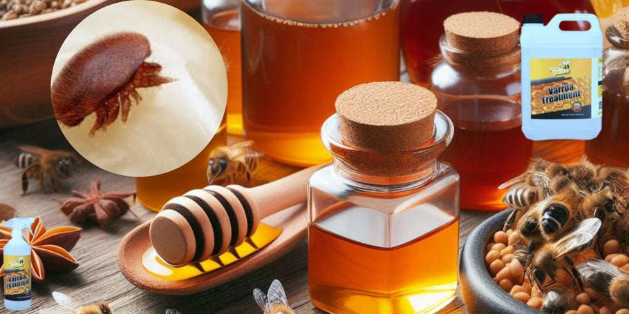 Zdravljenje varoje brez ubijanja čebel: Nasveti strokovnjakov
