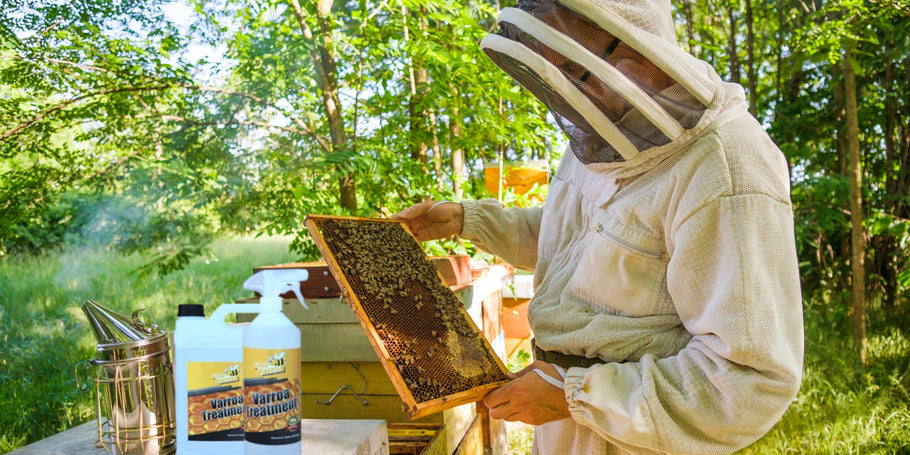 Pršice Varroa: nevarnost za čebele, rešitve za čebelarje